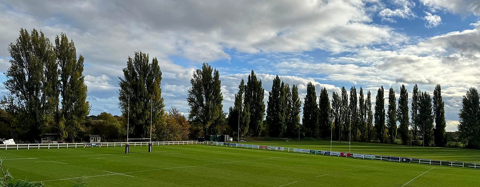 A striped, mown sports pitch with goalposts and perimeter fencing lined with club signage, backed by a row of tall trees